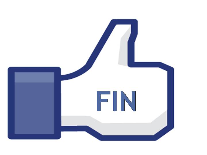 FIN